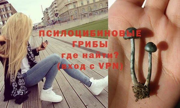 твердый Куйбышев
