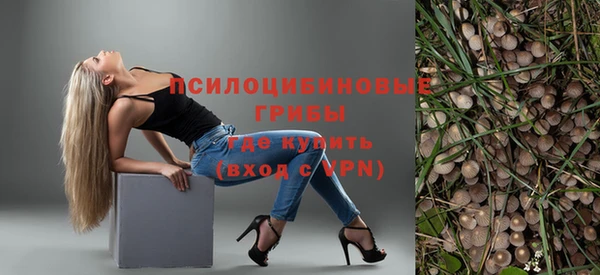 твердый Куйбышев